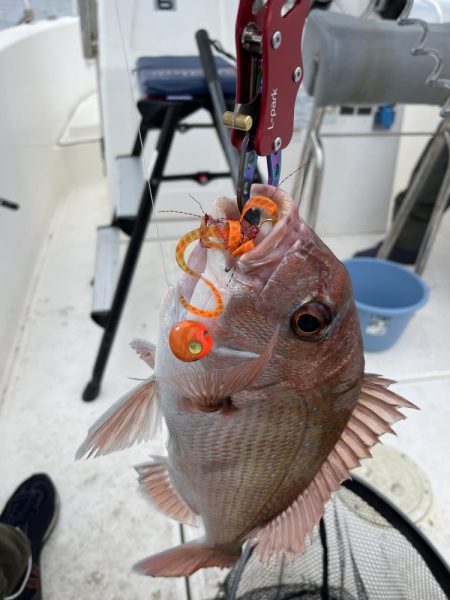 冬の播磨灘沖へタイラバ